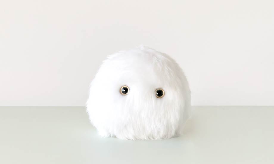 コネモフ:白(NEW)